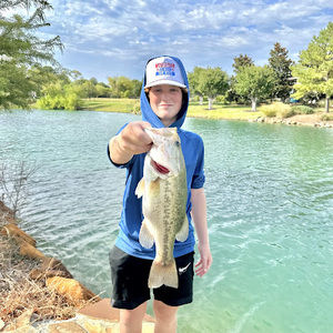 Meet your Posher, Hudson